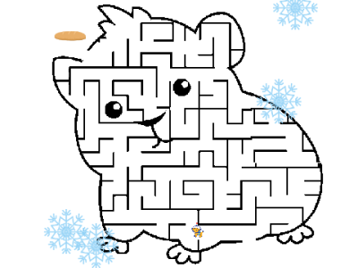 MAZE HAMSTER