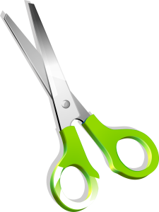 rock paper scissors shoot!!