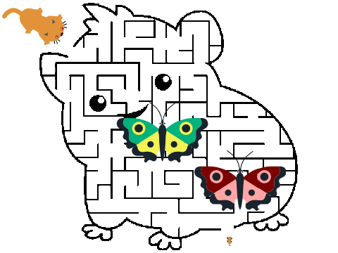 Maze