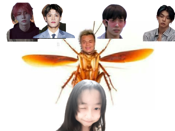 CATCH MY BOYSS!!!