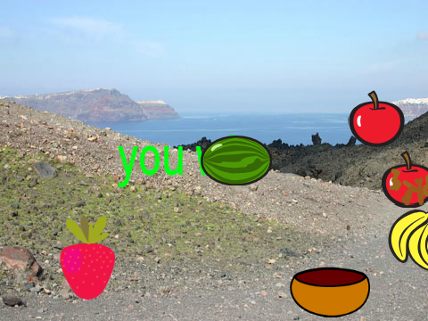 catch the fruit